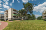 Zielona Dolina 2