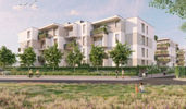 Astelia Park