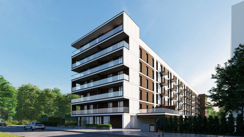 Wizualizacja Ptasia Vita