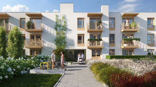 Wizualizacja Aroniowa Vita