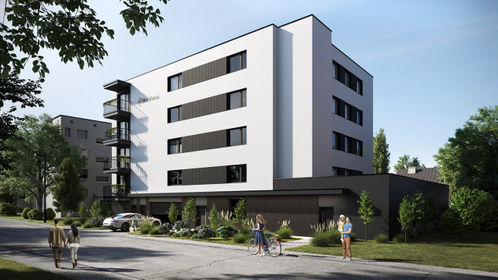 Wizualizacja IVY by Blockhaus.