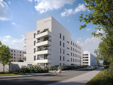 Wizualizacja Riviera⁵