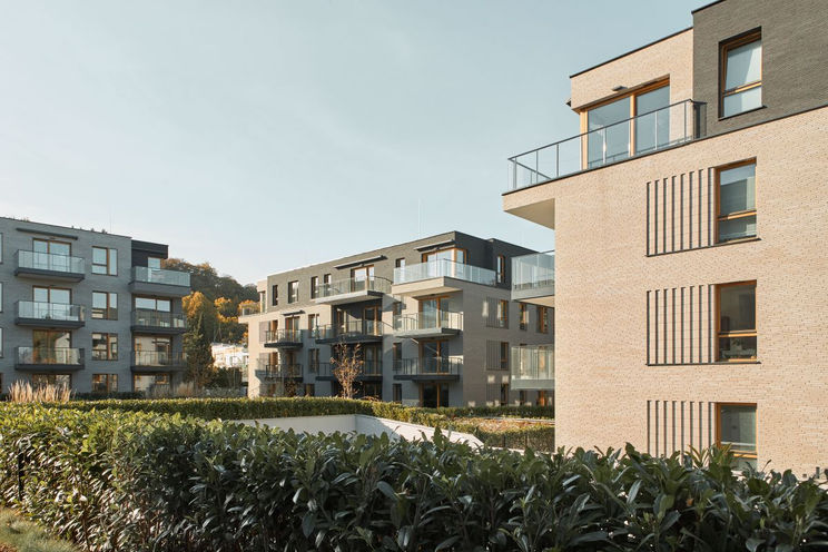 Atrium Oliva