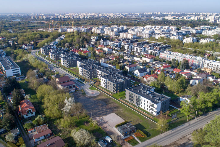 Nova Bluszczańska C.1.3