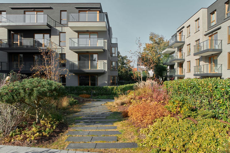 Atrium Oliva