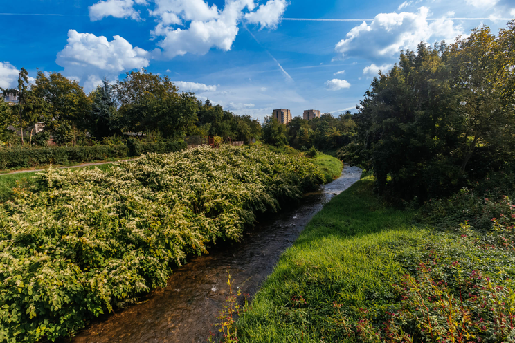 Mieszkanie usytuowane przy terenach zielonych; Kraków Prądnik Czerwony Olsza