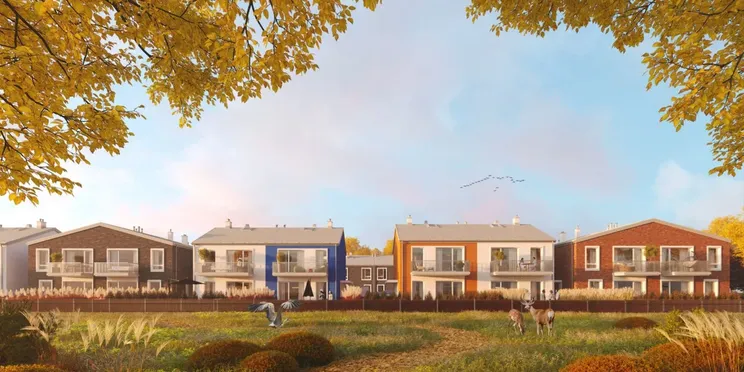 Novisa Development, Domy na Witosa