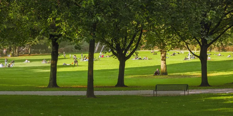 Najpiękniejsze parki w Krakowie – w okolicach którego parku warto zamieszkać?