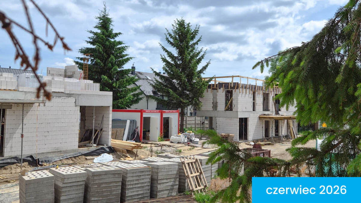 Wille Stolema - Novisa Development