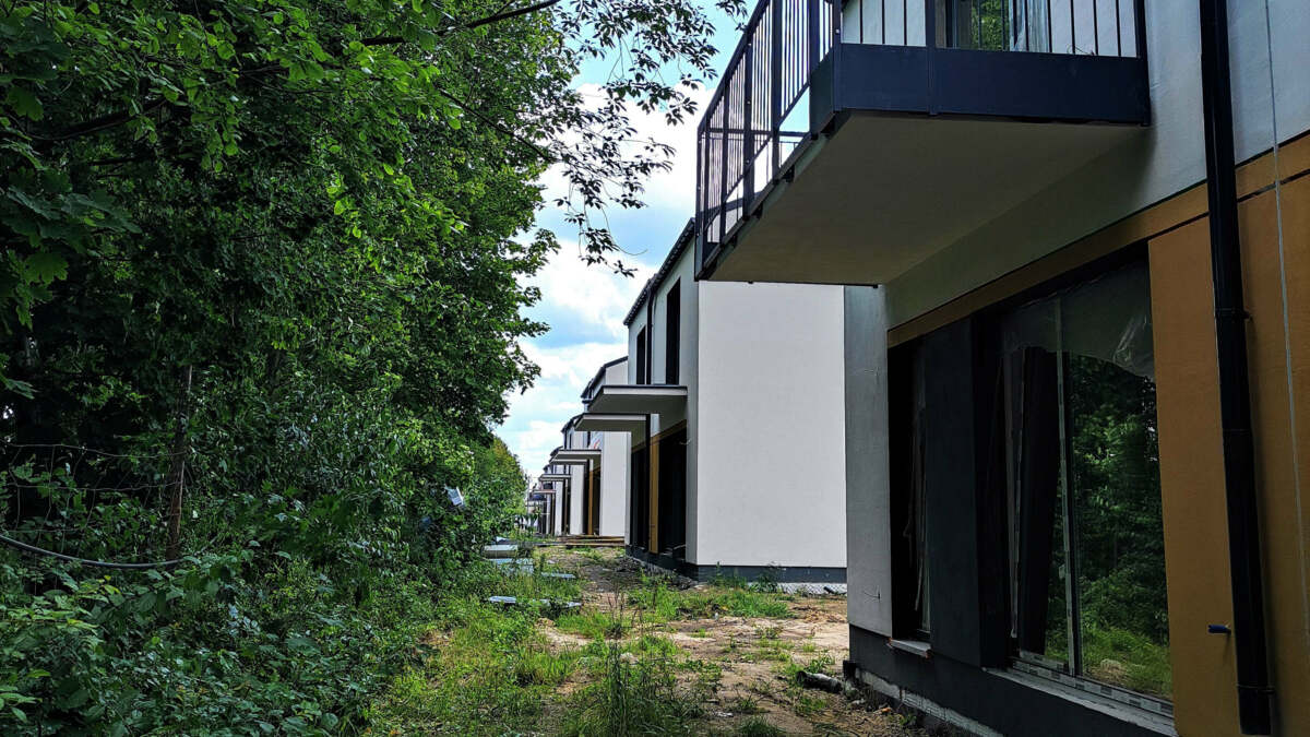 Boska Ksawerowska Novisa